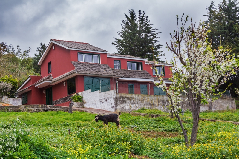 Загородный дом в La Orotava, La Orotava - 365 000 €