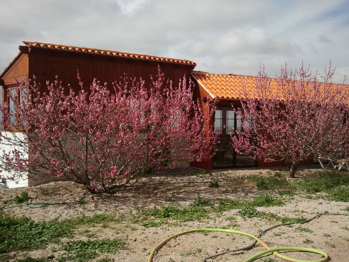 Загородный дом в Charco del Pino, Granadilla - 495 000 €